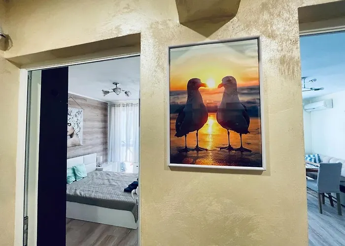 Glarus 公寓 瓦爾納